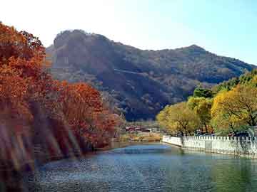 天天彩好彩天天免费，废后 流凌莎